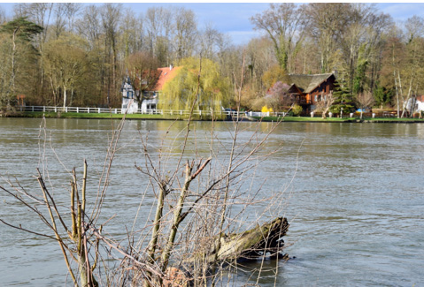 amenagement des bords de seine