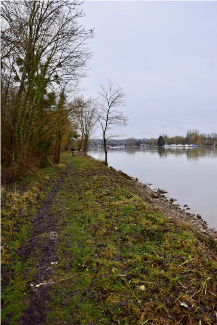 Aménagement bords de seine pour la pêche