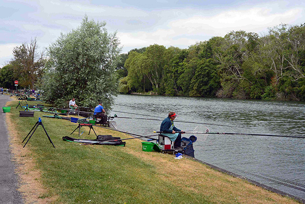 Concours de peche a Hericy sur Seine