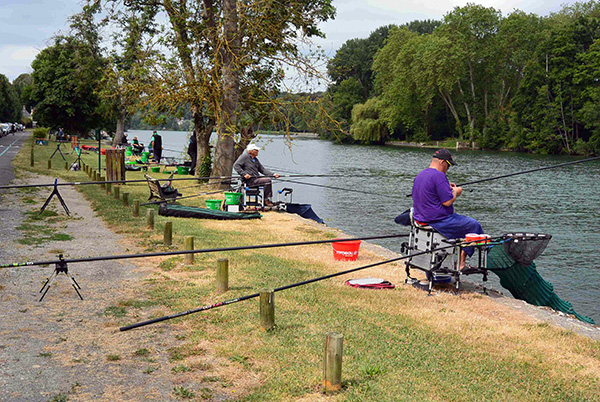 Concours de peche a Hericy sur Seine