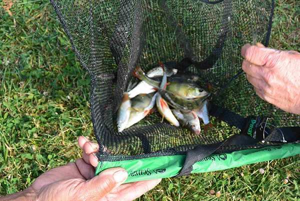 Concours de peche a Hericy sur Seine