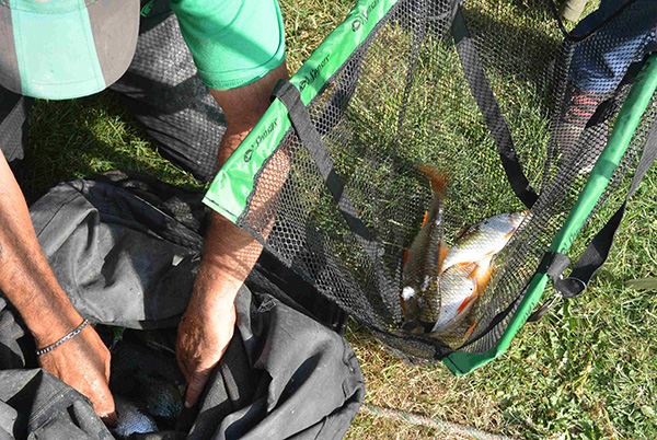 Concours de peche a Hericy sur Seine