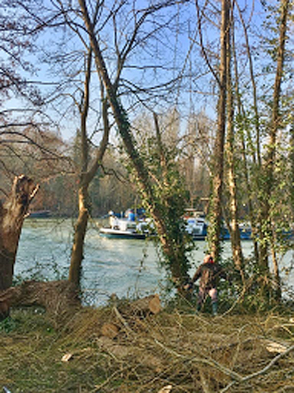 elagage a fontaine le port