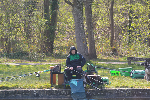 Feeder_2019_AUDOUARD COMBES Fabien