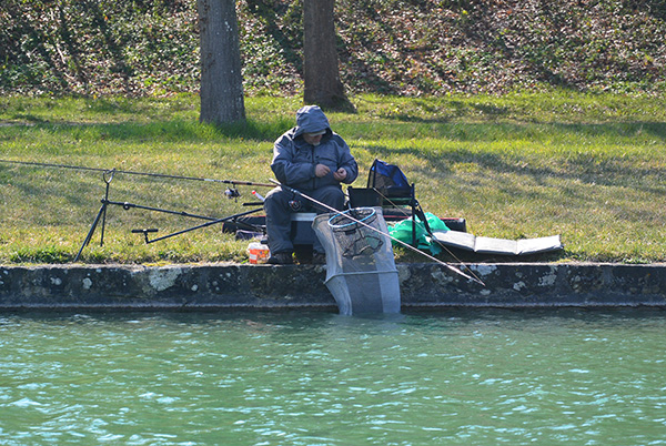 Feeder_2019_CALMEL Olivier