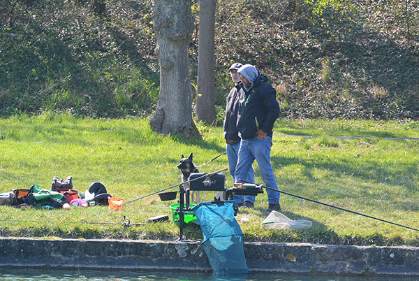 Feeder_2019_FOURNIER Jérôme