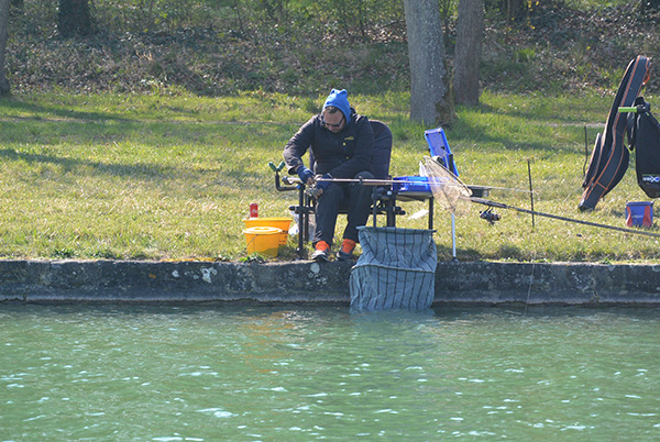 Feeder_2019_GRAS Grégory