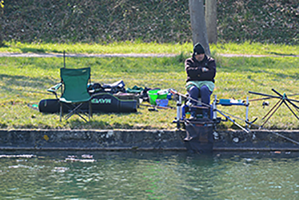 Feeder_2019_HONNART Olivier