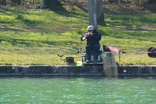 Feeder_2019_JOUBIER Vincent