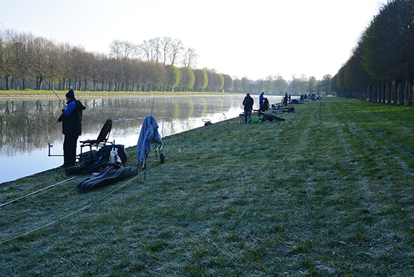 Feeder_2019_Mise en place 01