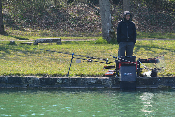 Feeder_2019_OCCELI Loic