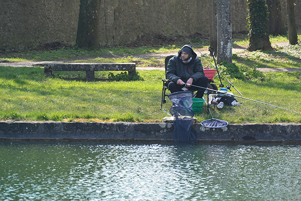 Feeder_2019_PERISSUTITI Samy