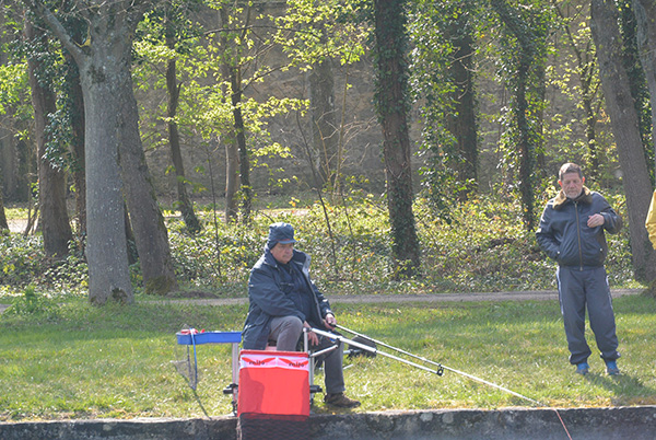 Feeder_2019_PROVOST Bernard