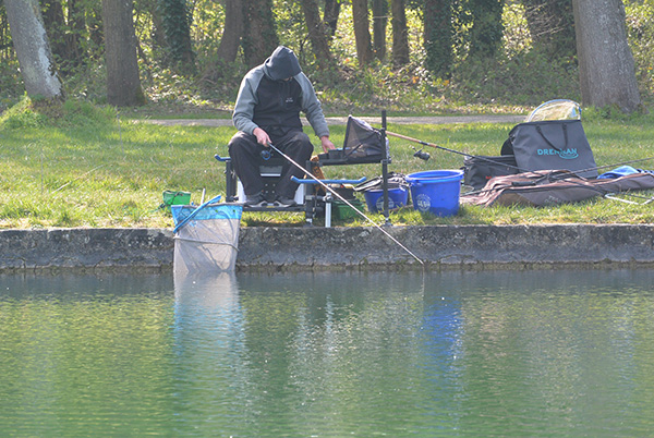 Feeder_2019_ROY Jean-Michel