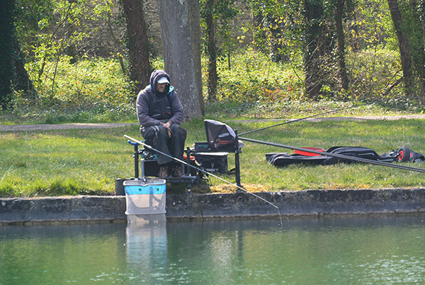 Feeder_2019_ROY Philippe