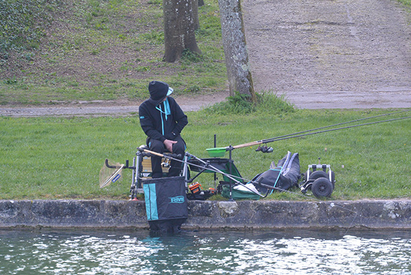 Feeder_2019_SCHRICKE Dominique