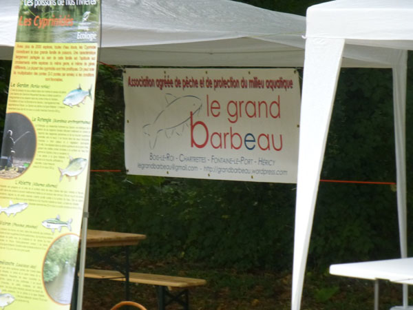 mouche au canal de fontainebleau