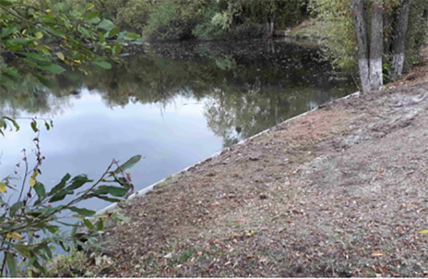 Renforcement des berges d'un étang