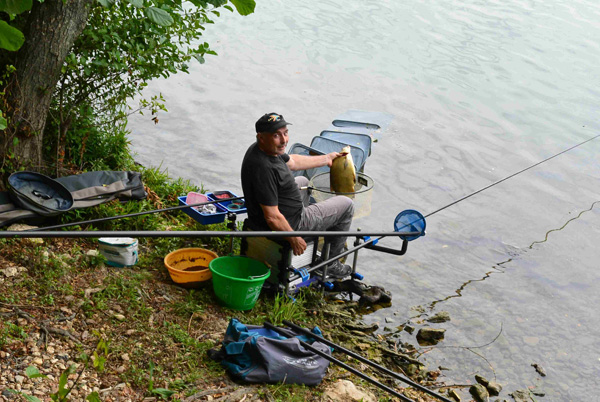 Concours de peche a samois sur seine