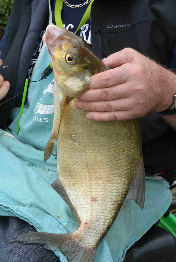 concours de peche a samois sur seine 2016