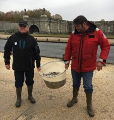 alevinage 2018 au grand canal de fontainebleau