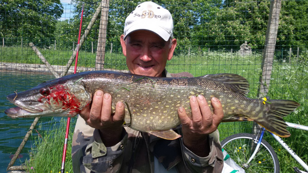 brochet pris au canal de fontainebleau