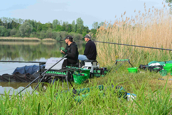 concours_Echouboulain_2019_JANIC-SIMON 01
