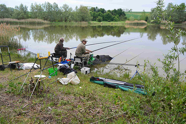 concours_Echouboulain_2019_KOUTCHERENKO-BRETON 01