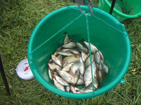 Concours de peche au grand canal de fontainebleau