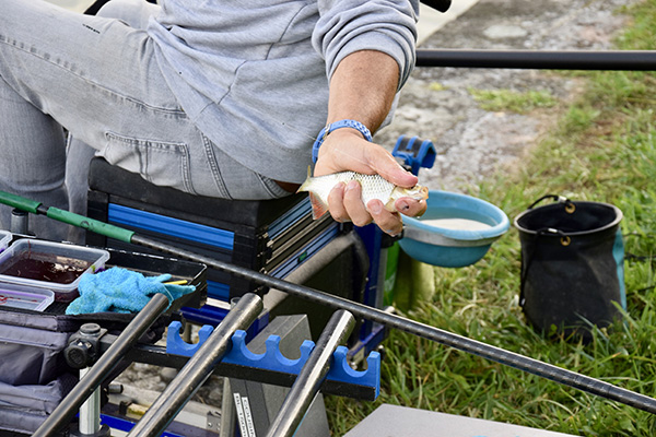 Concours de peche au grand canal de fontainebleau 2019