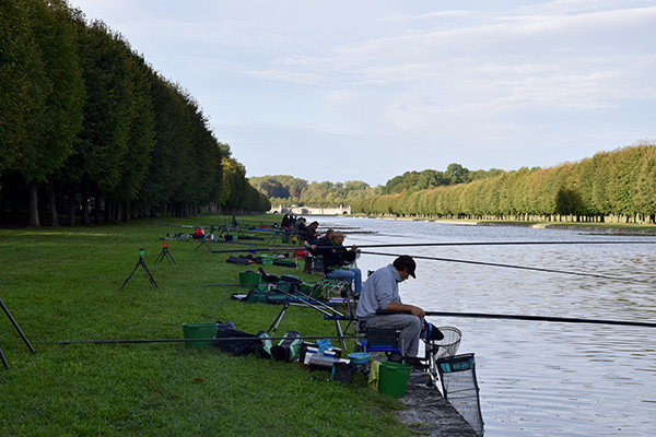 Concours de peche au grand canal de fontainebleau 2019