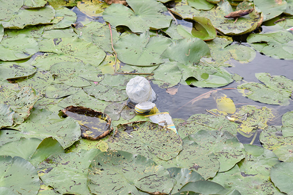 Concours de peche au grand canal de fontainebleau 2019