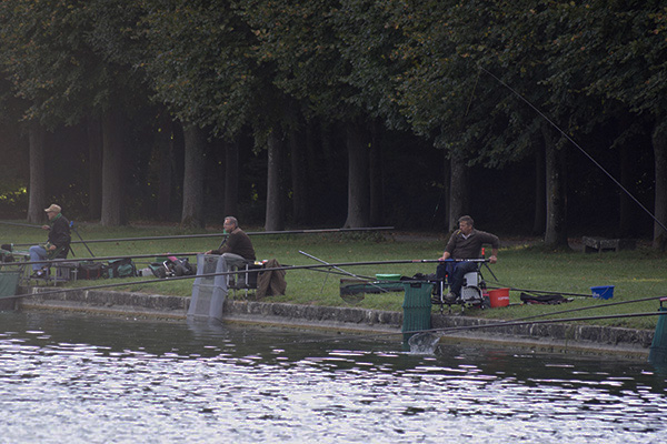 Concours de peche au grand canal de fontainebleau 2019