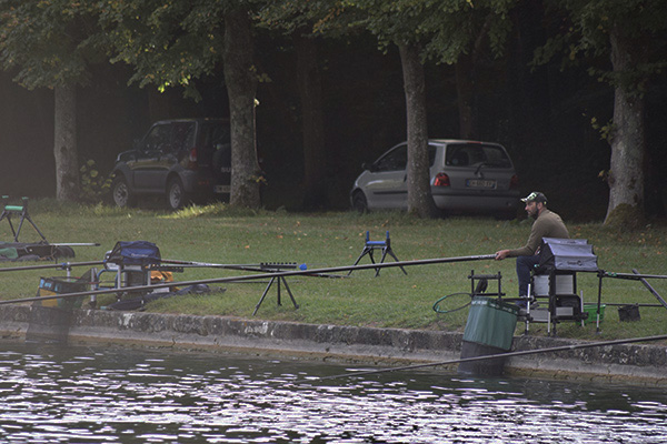 Concours de peche au grand canal de fontainebleau 2019