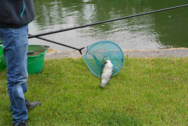 concours de pêche Hericy 2016