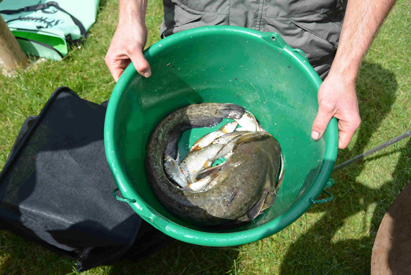 concours de pêche Hericy 2016