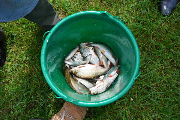 concours de pêche Hericy 2016