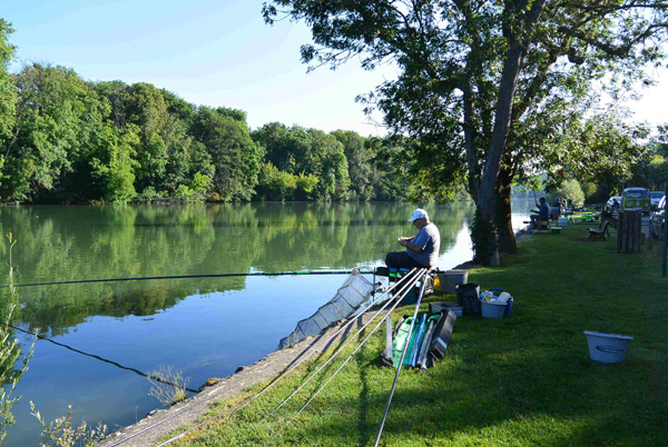 Concours de pêche à Hericy sur Seine en 2017