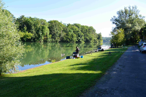 Concours de pêche à Hericy sur Seine en 2017