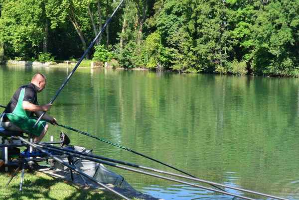 Concours de pêche à Hericy sur Seine en 2017