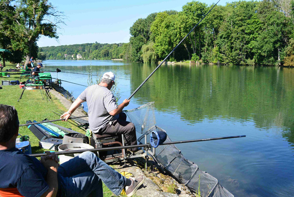 Concours de pêche à Hericy sur Seine en 2017