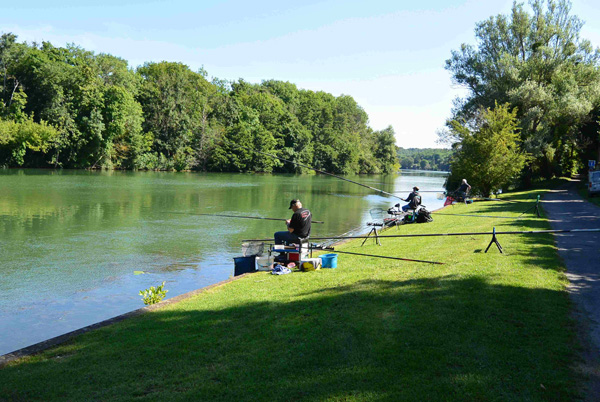 Concours de pêche à Hericy sur Seine en 2017