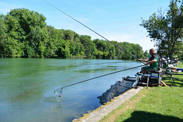 Concours de pêche à Hericy sur Seine en 2017