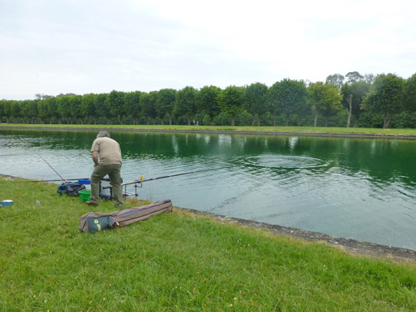 Concours de pêche au grand canal de fontainebleau