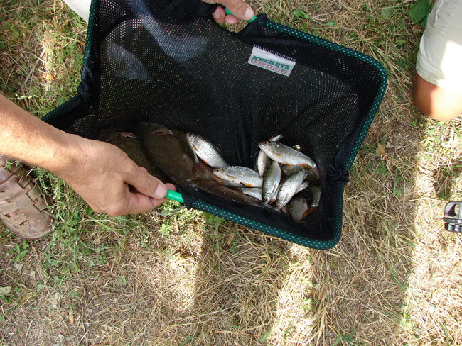 Concours de pêche a Samois
