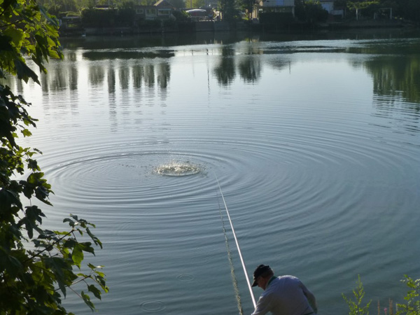 concours de peche à samois