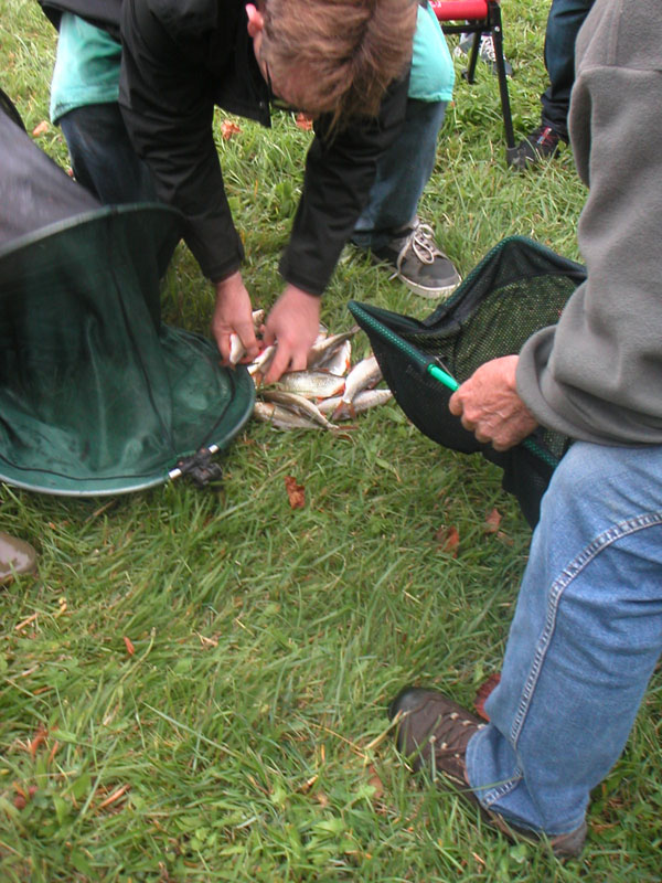 Concours de peche au grand canal de fontainebleau