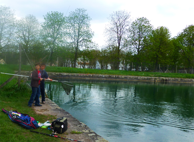 prise de truites au canal de fontainebleau