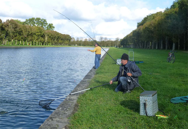 prise de truites au grand canal de Fontainebleau